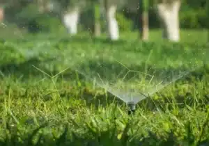 الشركة العالمية 11 شركة تركيب انظمة ري الحدائق في أبوظبي