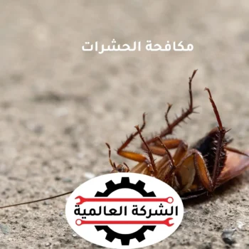 شركة مكافحة حشرات في الشارقة