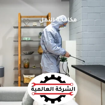 شركة مكافحة حشرات في الشارقة | مكافحة الصراصير نهائيًا بدون رجوع وبضمان