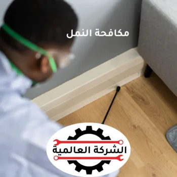 شركة مكافحة نمل في عجمان