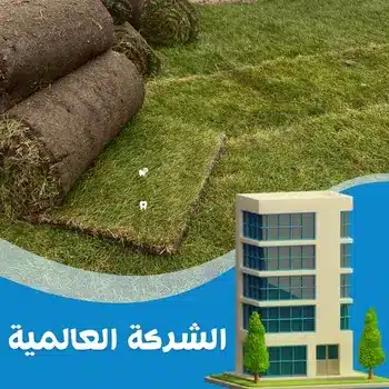 شركة تركيب عشب صناعي في رأس الخيمة
